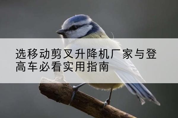 班玛电动升降机厂家-选移动剪叉升降机厂家与登高车必看实用指南
