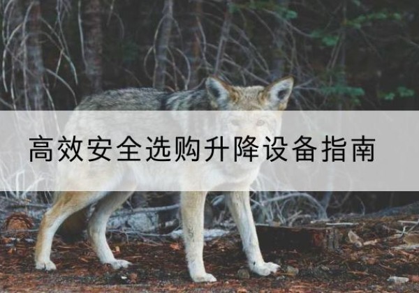 班玛升降货梯厂家推荐-*安全选购升降设备指南